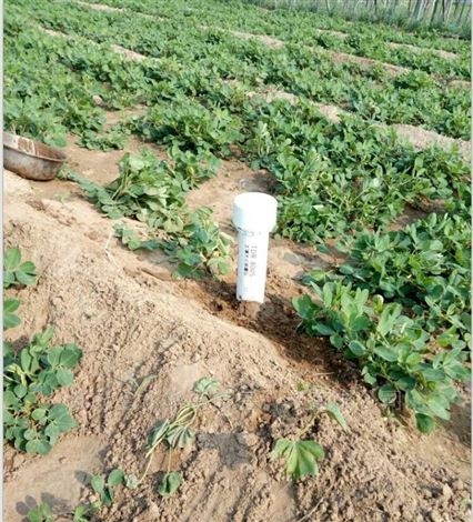 潍坊TDR土壤水分测量仪生产厂家