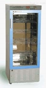 202-4AD数显电热干燥箱（超温报警）