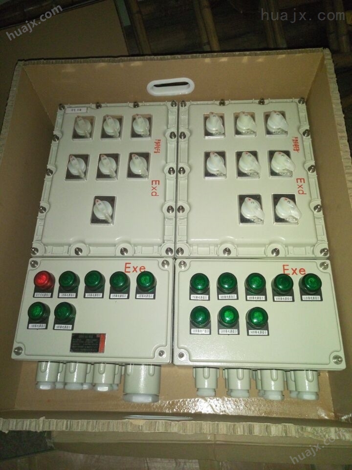 BXM51-6/10K32防爆照明配电箱