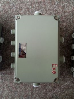 BXJ53不锈钢防爆防腐接线箱