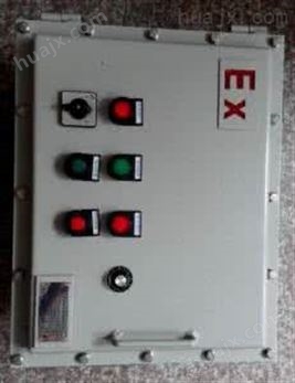 BXK-T现场防爆控制箱