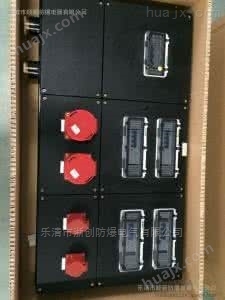 BXX8050-2/4/16A防爆防腐电源插座箱