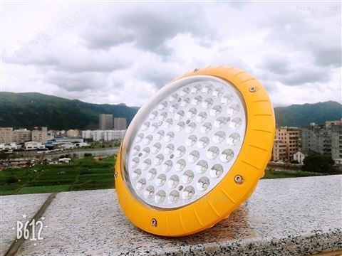 制药厂BZD118-60g免维护LED防爆照明灯