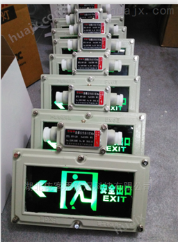 BAYD81防爆安全出口灯（向左，向右）IP65