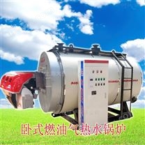 上海大强锅炉公司  燃气热水锅炉