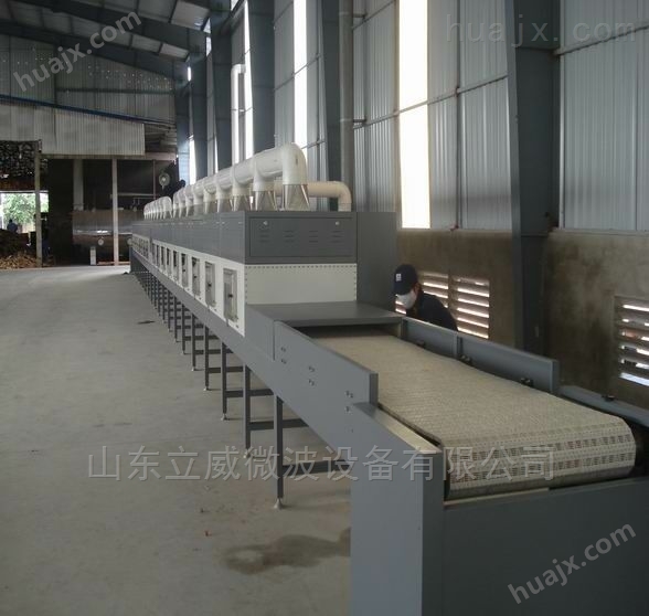 山东厂家专业生产黄豆微波低温烘焙设备