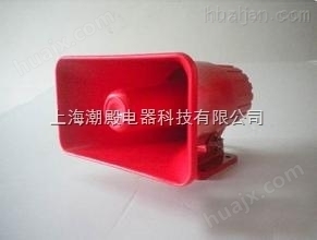 专业生产BC-3A电子电笛