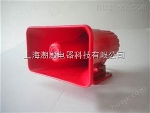 专业生产BC-3A电子电笛