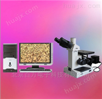 图像分析三目显微镜+金相软件+高清CCD