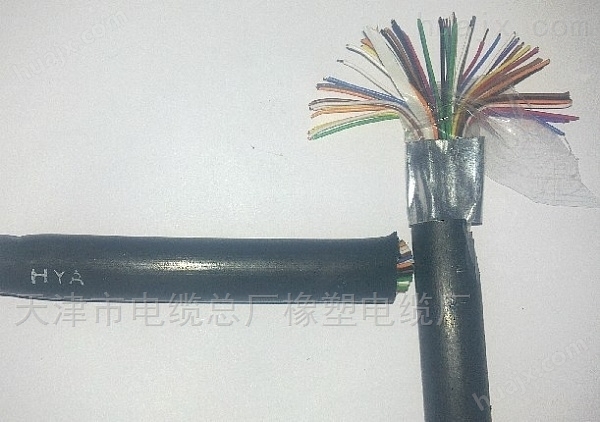 天津橡塑电缆厂聚乙烯绝缘 HBYV室内线